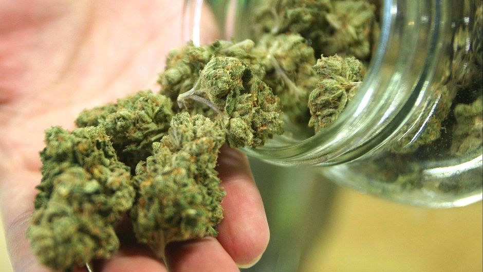 Nederland: sterke toename gebruik medicinale cannabisolie