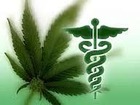 Nederland: Forse stijging gebruik medicinale cannabis